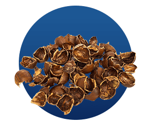 Finessa - Cascara Sagrada