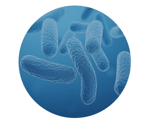 Finessa - Probiotics